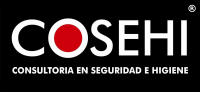 Consultora-cosehi